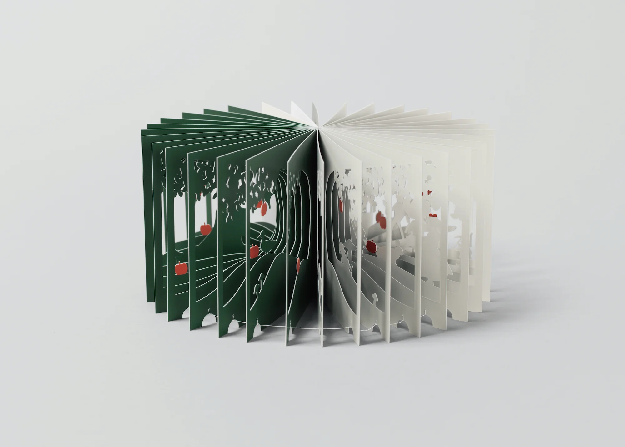 Artistic 360° Book Snow White - Image 4
