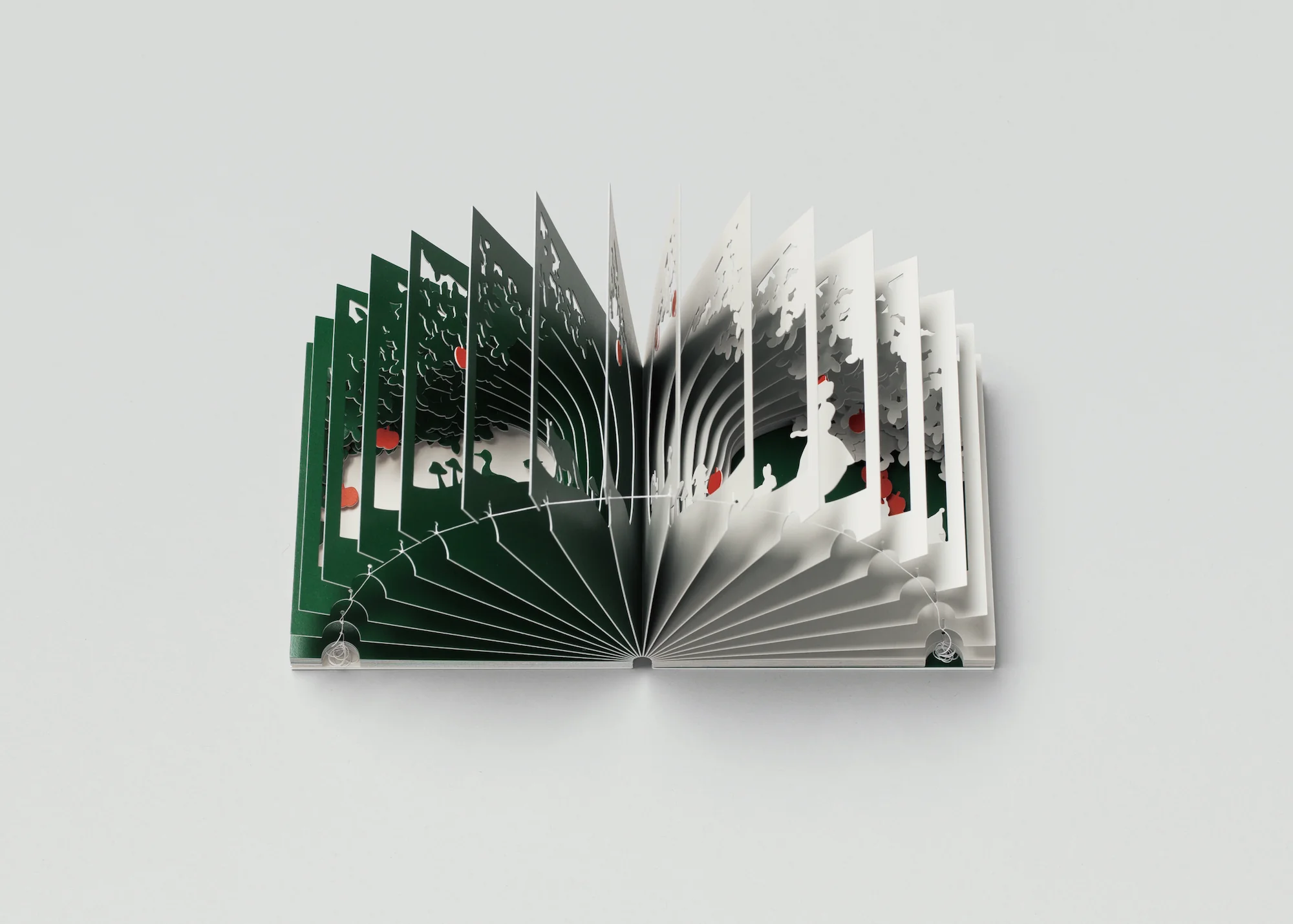 Artistic 360° Book Snow White - Image 5