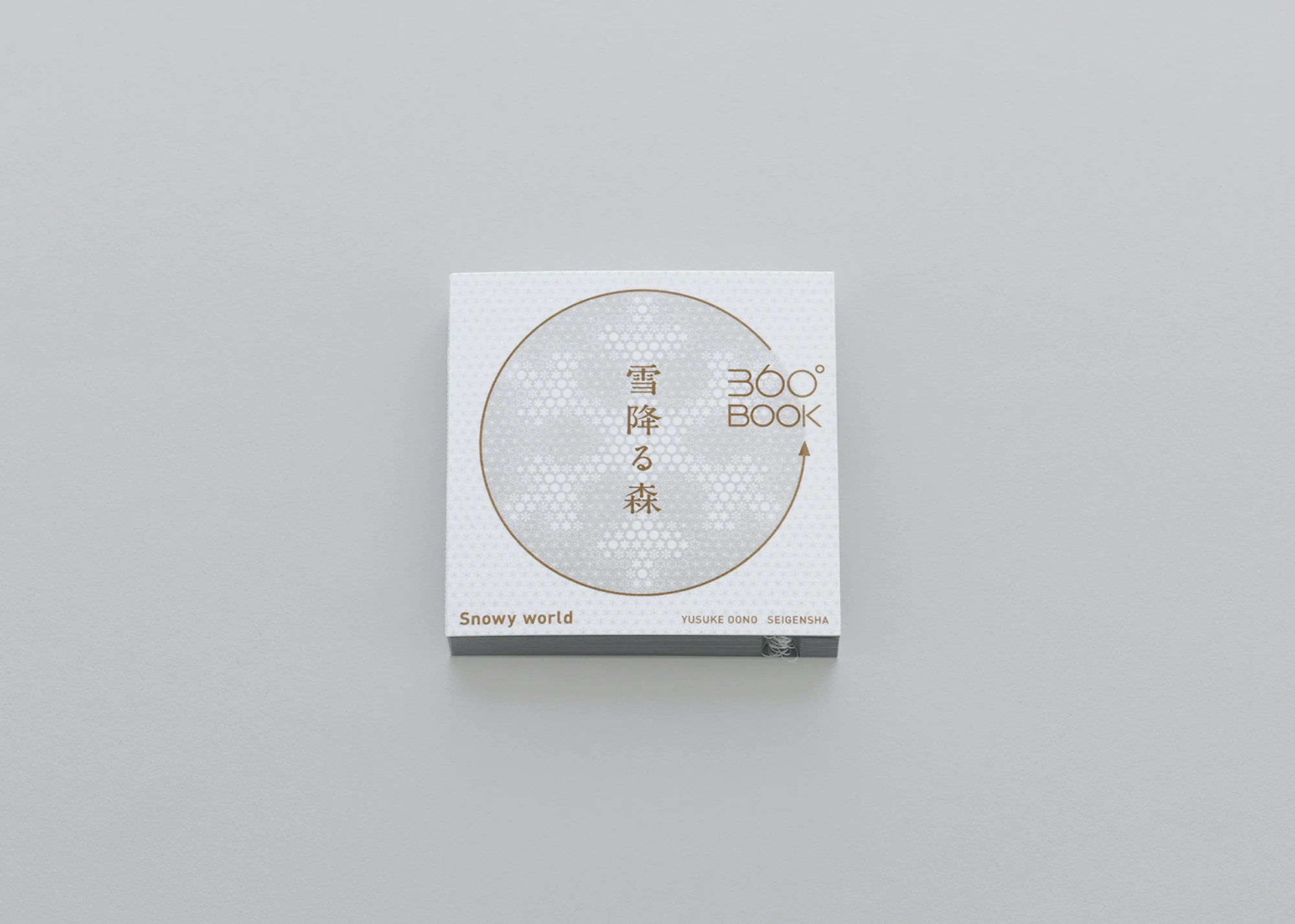 Artistic 360° Book Snowy World - Image 4