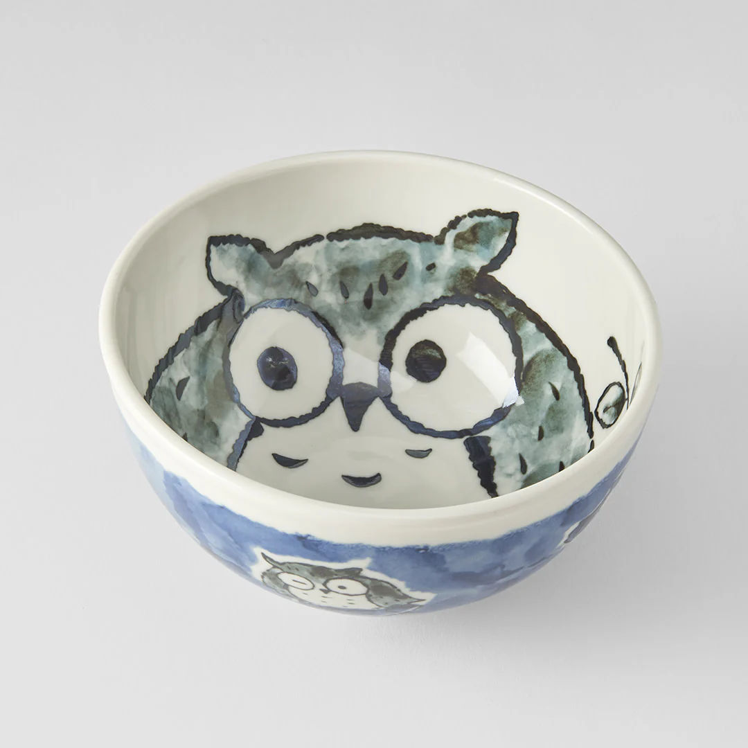 Kids bowl blue owl design 16cm - Image 3