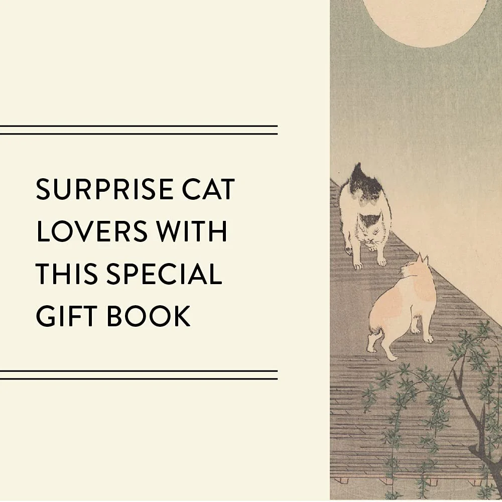 Cats in Spring Rain - Image 6