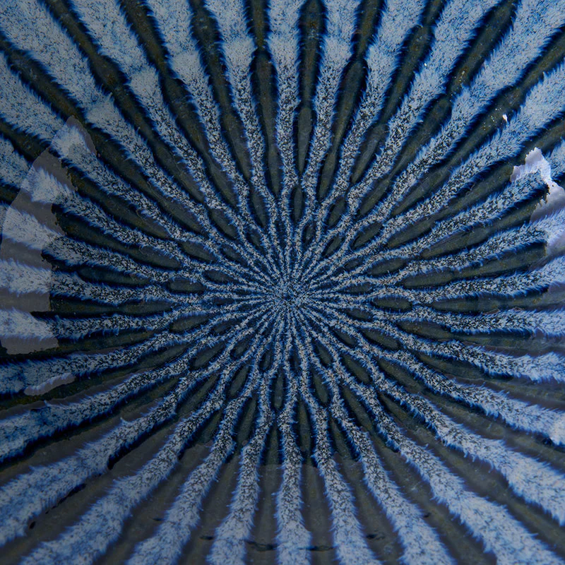 Indigo Drip Pasta Bowl 24cm - Image 4