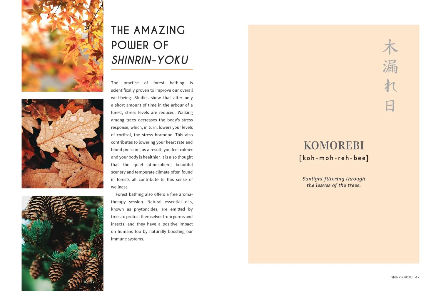 Japanese Living: Bring Mindfulness, Joy and Simplicity Into Your Life - Image 2