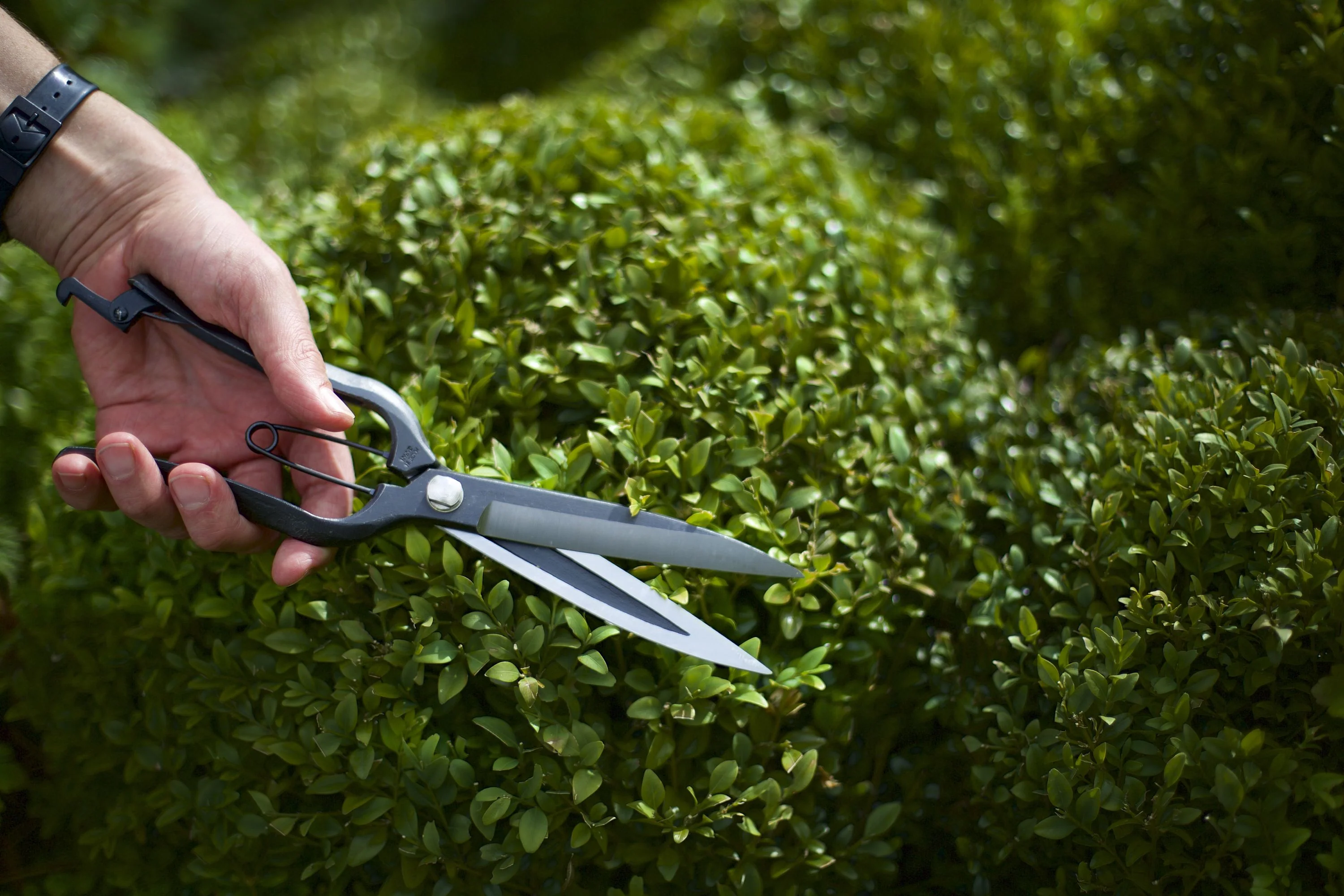 Niwaki Sentei Topiary Clippers - Image 2