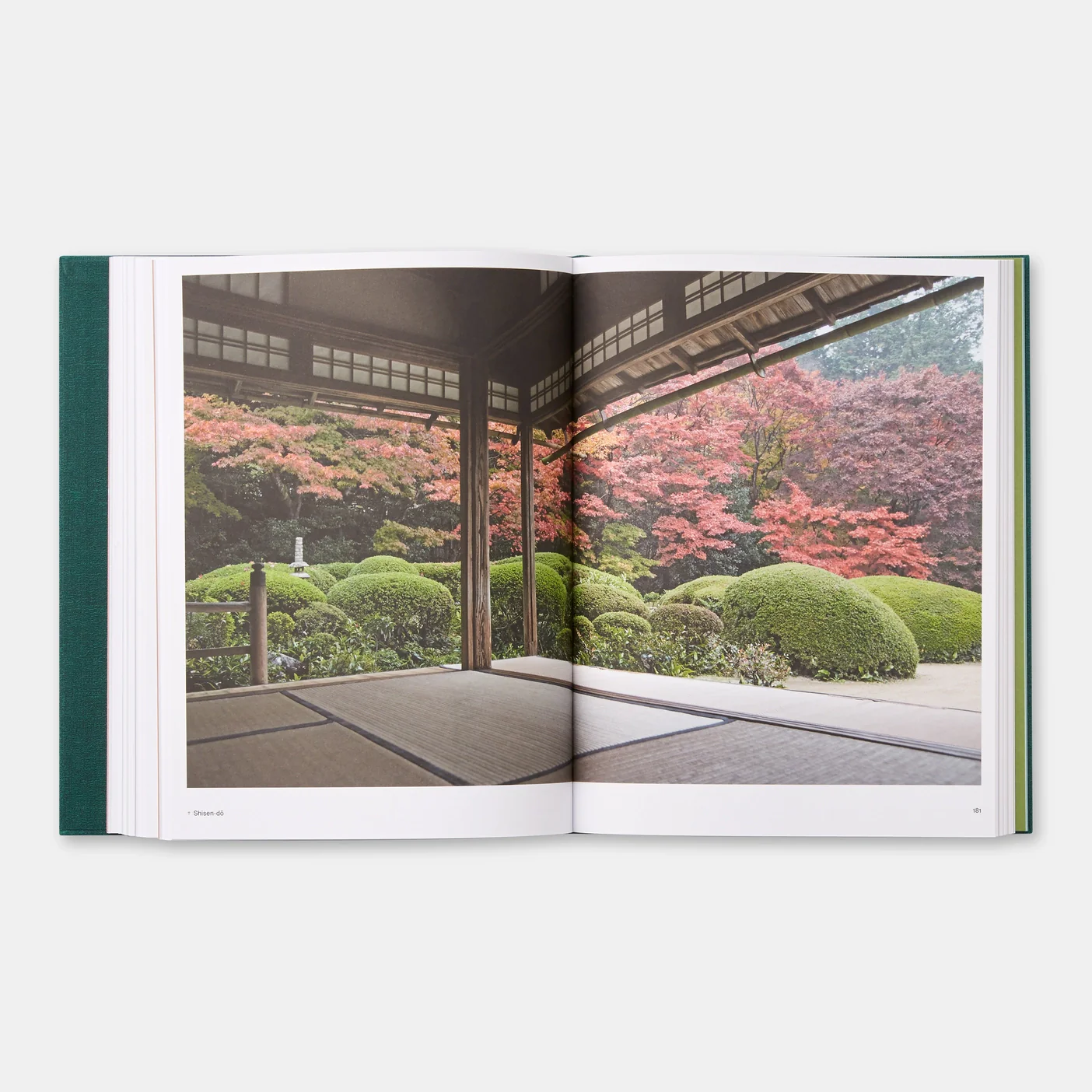 The Japanese Garden - Image 2