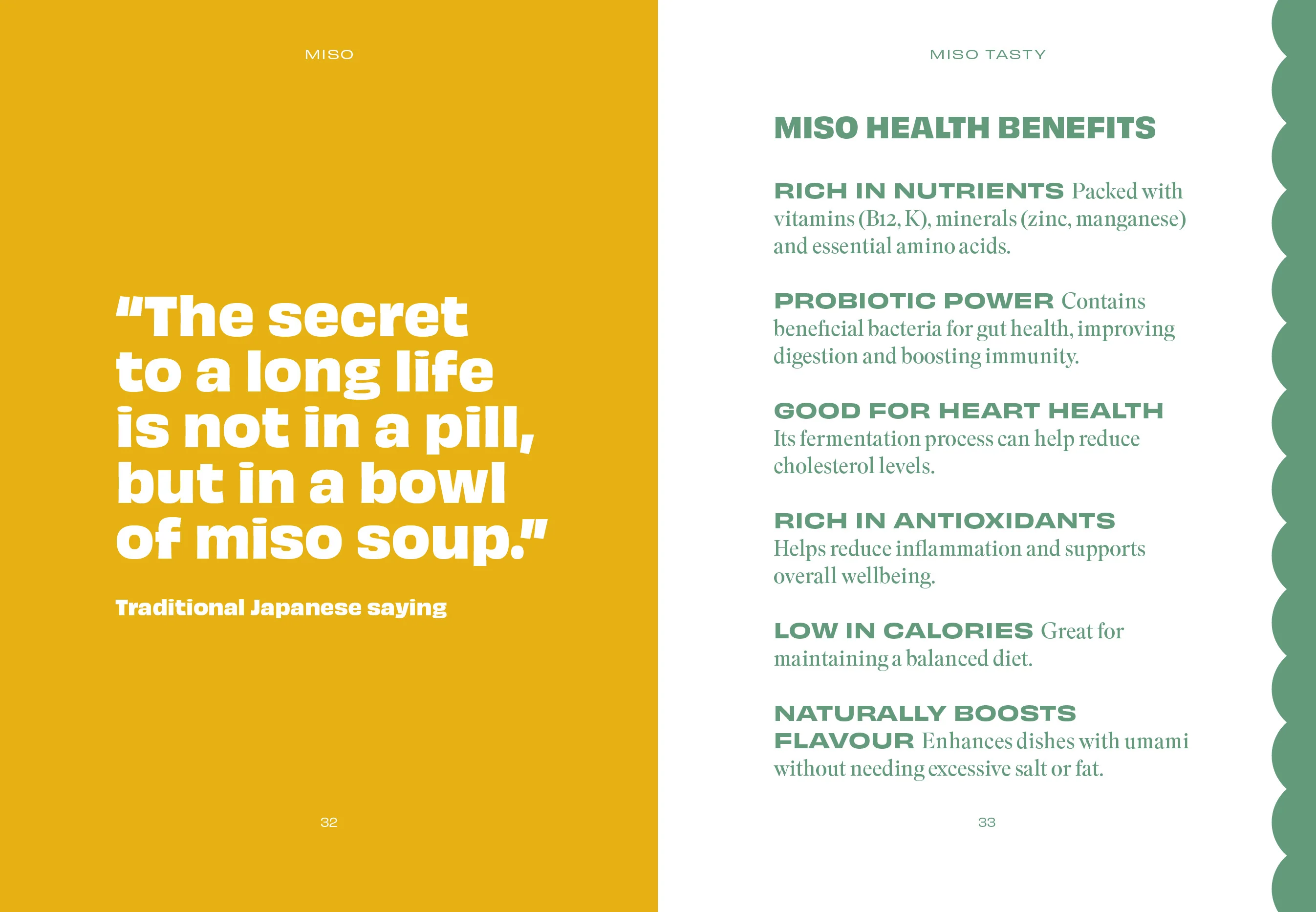 The Pocket Miso - Image 4