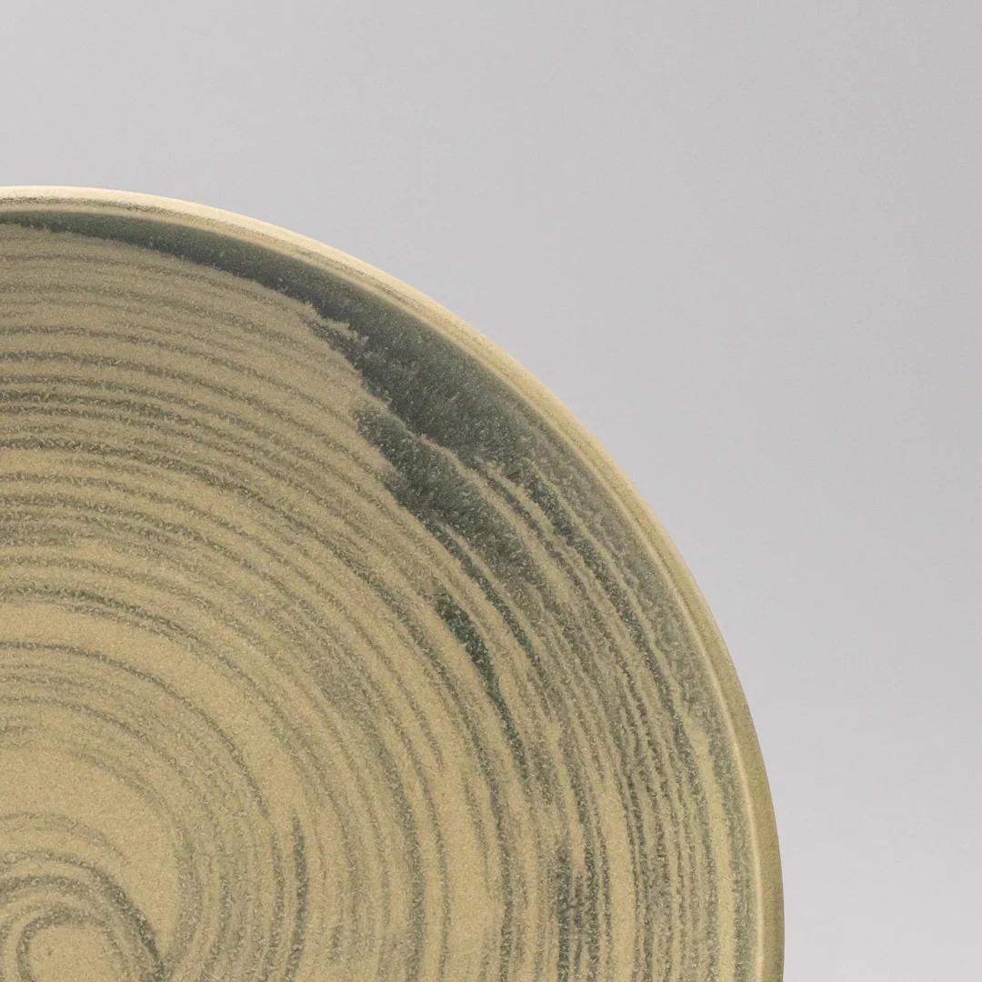 Washed Fern Dinner Plate 26cm - Image 2