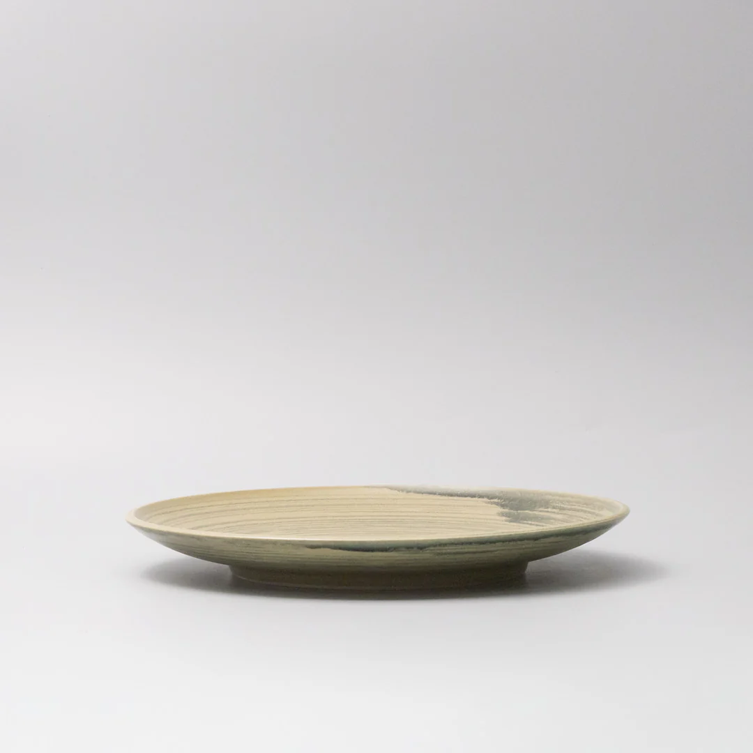 Washed Fern Dinner Plate 26cm - Image 4